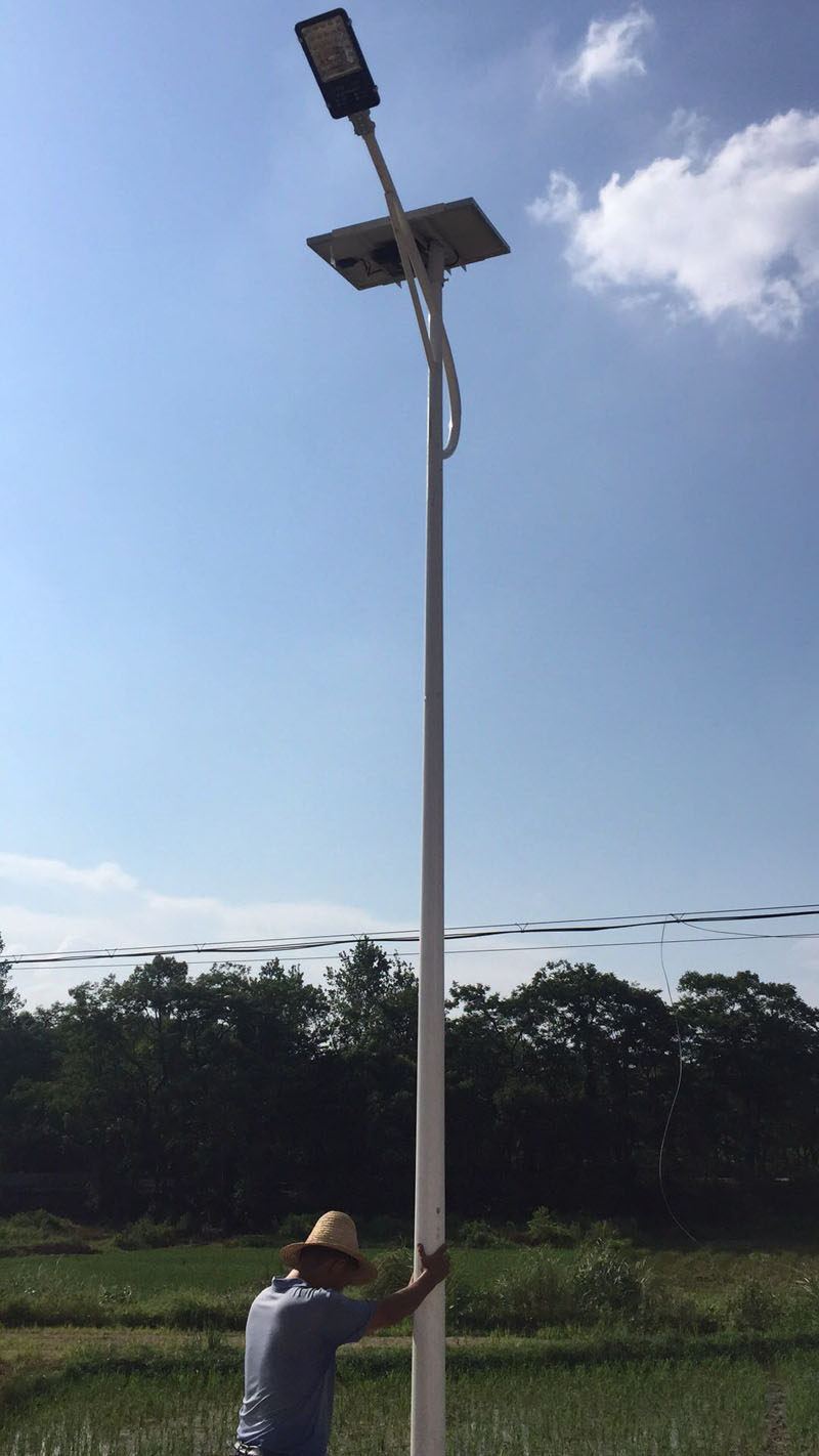 江西91香蕉视频网站